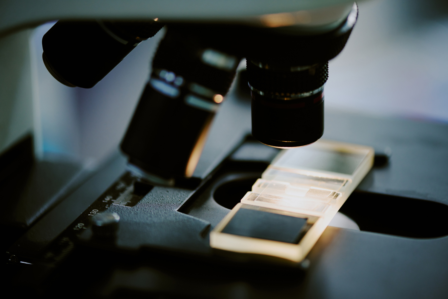 image-au-microscope