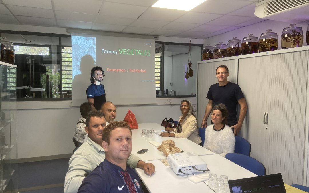 Une formation destinée au tisaneurs de La Réunion